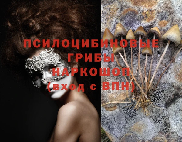 стафф Беломорск