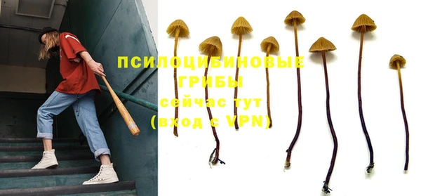стафф Беломорск