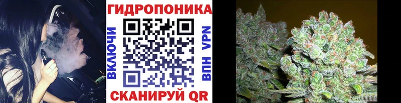 цена наркотик  mega ссылки  Бошки Шишки Amnesia  Курчатов 